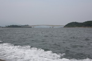 kumamoto 146