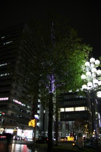 kumano 041
