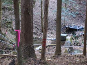 倉岳山＃２（３／３）