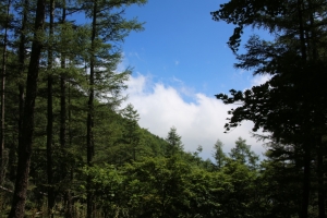 kushigata 011