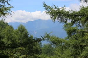 kushigata 015