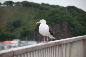 kushiro 003