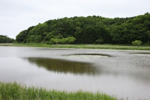 kushiro 009