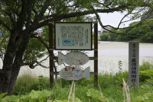 kushiro 010