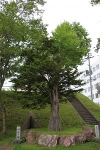 kushiro 035
