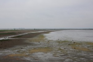 kusiro2 045