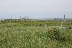 kusiro2 077