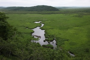 釧路湿原の旅２０１２