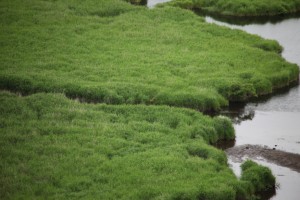 kushiro 055