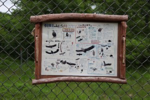 kushiro 073