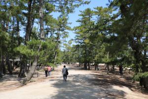 kyoto amano takeda 023