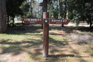 kyoto amano takeda 030