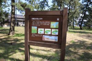kyoto amano takeda 048
