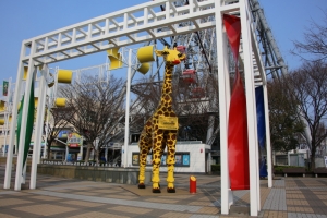 kyoto osaka 122
