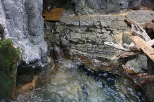 kyoto osaka 139