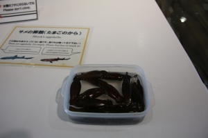 kyoto osaka 242