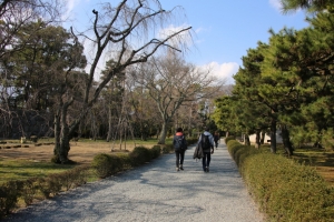 kyoto osaka 118