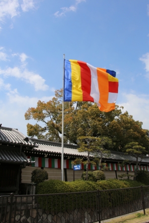kyoto osaka 010