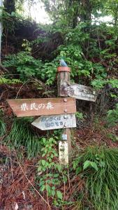 maruyama 006