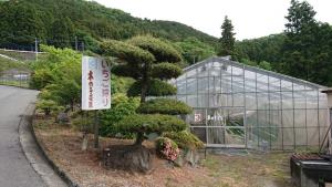 maruyama 007