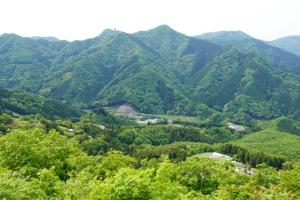 maruyama 019