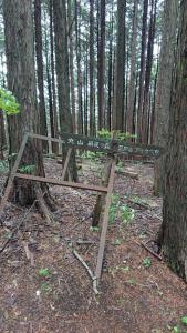 maruyama 026