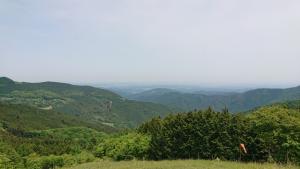maruyama 052