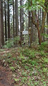 maruyama 056