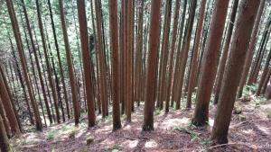 maruyama 058