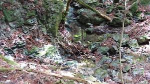 maruyama 060