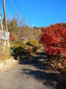 maruyama 006