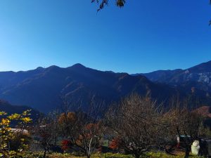 maruyama 009