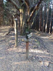maruyama 016