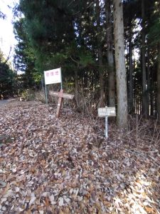 maruyama 022
