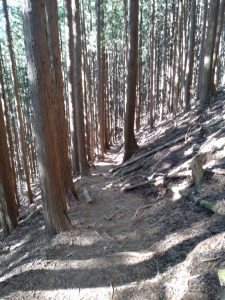 maruyama 045