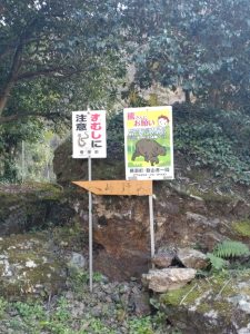 maruyama 052