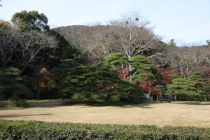 mie aichi 184