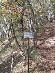 mitousan 032