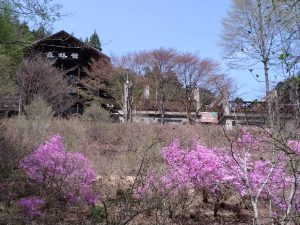 mitousan 005