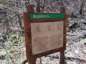 mitousan 024