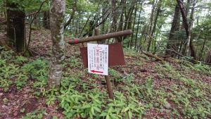 mitsutoge 005