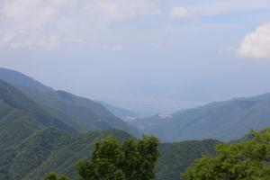 mitsutoge 016