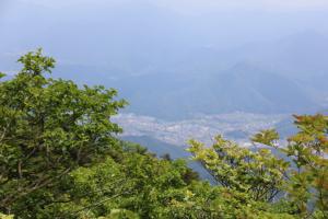mitsutoge 018