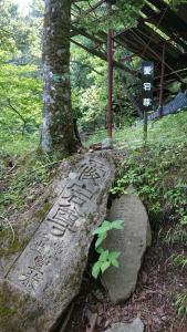 mitsutoge 031