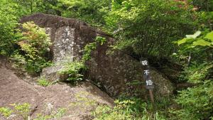 mitsutoge 033