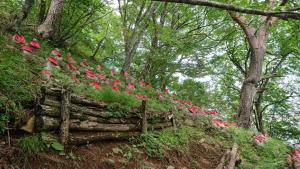 三つ峠山（２／２）