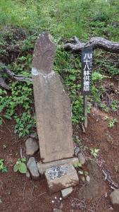 mitsutoge 036
