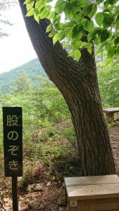 mitsutoge 041
