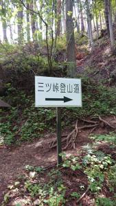 mitsutoge 043