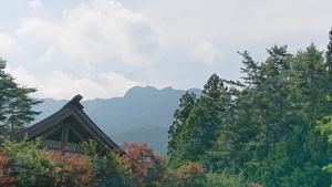 mitsutoge 048
